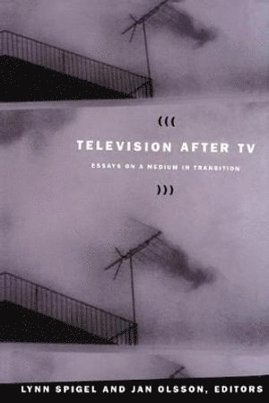 Television after TV : essays on a medium in transition