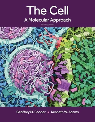 The cell : a molecular approach
