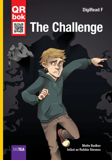 The Challenge; Mette Bødker; 2017