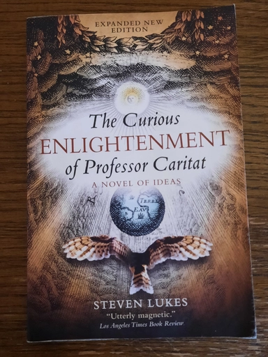 The curious enlightenment of Professor Caritat : a novel of ideas