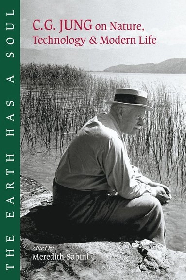 The earth has a soul : C.G. Jung on nature, technology & modern life /