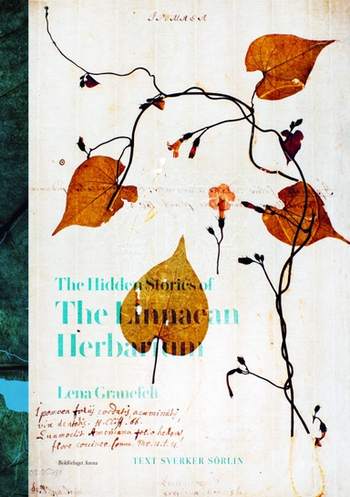 The hidden stories of the Linnean herbarium