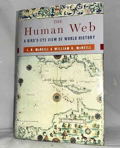 The human web : a bird's-eye view of world history