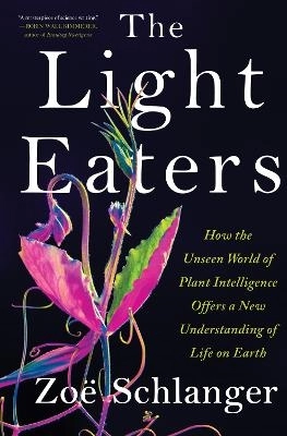 The Light Eaters; Zo Schlanger; 2024