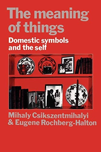 The meaning of things : domestic symbols and the self