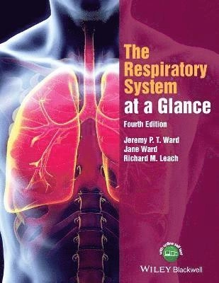 The respiratory system at a glance