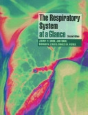 The Respiratory System at a Glance