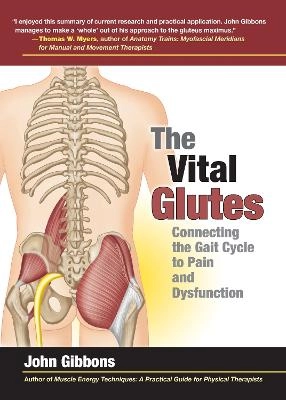 The vital glutes : connecting the gait cycle to pain and dysfunction; John Gibbons; 2014