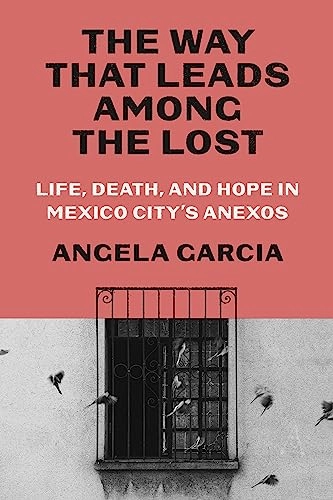 The way that leads among the lost : life, death, and hope in Mexico City's anexos; Angela Garcia; 2024