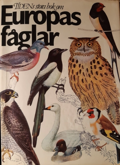 Tidens stora bok om Europas fåglar; Jiři Felix; 1980