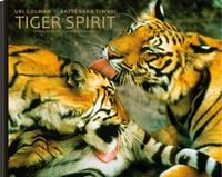 Tiger Spirit; Uri Golman; 2010