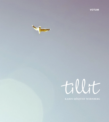 Tillit; Karin Sjöqvist Wernberg; 2012