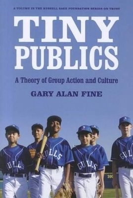 Tiny publics : a theory of group action and culture