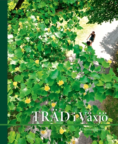 Träd i Växjö; Thomas Lissing; 2024