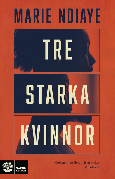 Tre starka kvinnor; Marie NDiaye; 2012