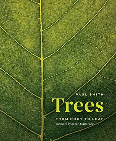 Trees : from root to leaf