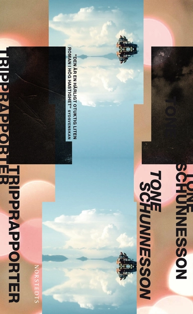 Tripprapporter; Tone Schunnesson; 2017