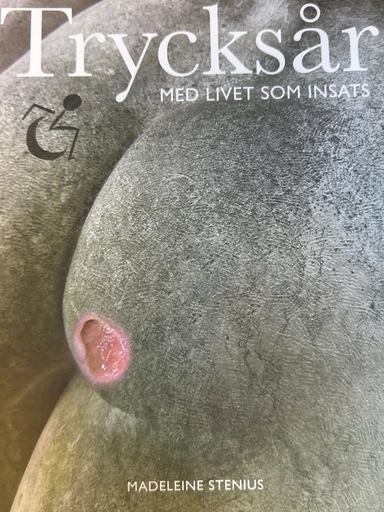 Trycksår med livet som insats; Madeleine Stenius; 2016