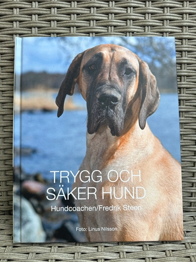 Trygg och säker hund; Fredrik Steen; 2010