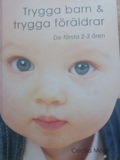 Trygga barn & trygga föräldrar; Cecilia Moen; 2009