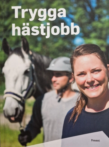 Trygga hästjobb