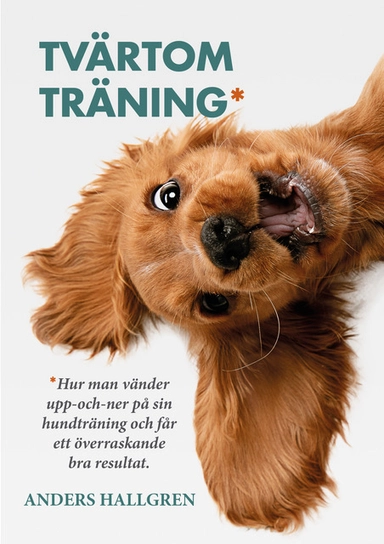 Tvärtomträning: Hur man vänder upp-och-ner på sin hundträning och får ett överraskande bra resultat