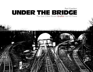 Under The Bridge; Paul Cavalieri; 2014