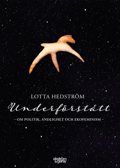 Underförstått : om politik, andlighet och ekofeminism; Lotta Hedström; 2021