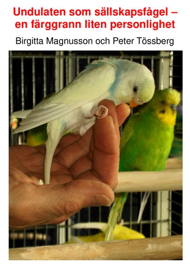 Undulaten som sällskapsfågel : en färggrann liten personlighet