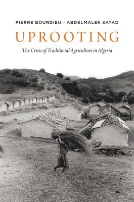 Uprooting : the crisis of traditional agriculture in Algeria; Pierre Bourdieu, Abdelmalek Sayad, Paul A. Silverstein; 2020