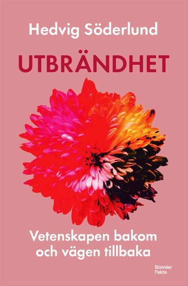 Utbrändhet : Vetenskapen bakom och vägen tillbaka