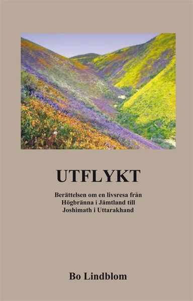 Utflykt; Bo Lindblom; 2016