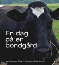 UTGÅTT !!! En dag på en bondgård; Kerstin Lindblad, Misse N. Josefsson, Per Gustavsson; 2008