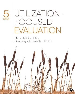 Utilization-focused evaluation