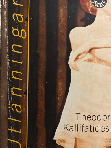 Utlänningar : roman; Theodor Kallifatides; 1996