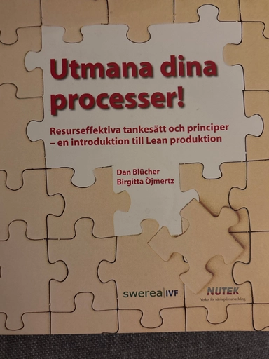 Utmana dina processer! : resurseffektiva tankesätt och principer : en introduktion till Lean produktion