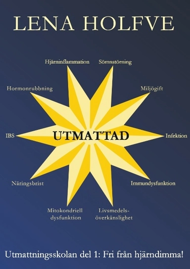 Utmattad : fri från hjärndimma!; Lena Holfve; 2017