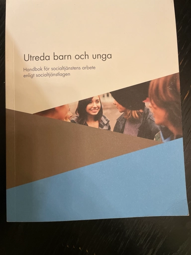 Utreda barn och unga : handbok för socialtjänstens arbete enligt socialtjänstlagen 