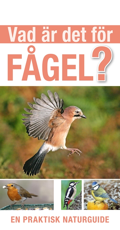 Vad är det för fågel?; Rob Hume; 2023