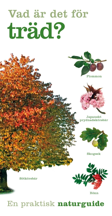 Vad är det för träd?; Tony Russell; 2020