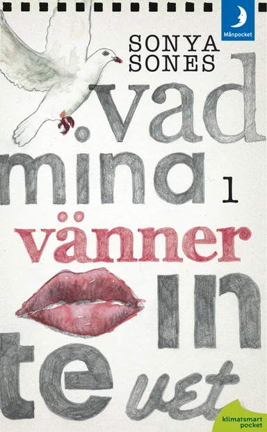 Vad mina vänner inte vet; Sonya Sones; 2011