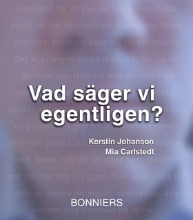 Vad säger vi egentligen?