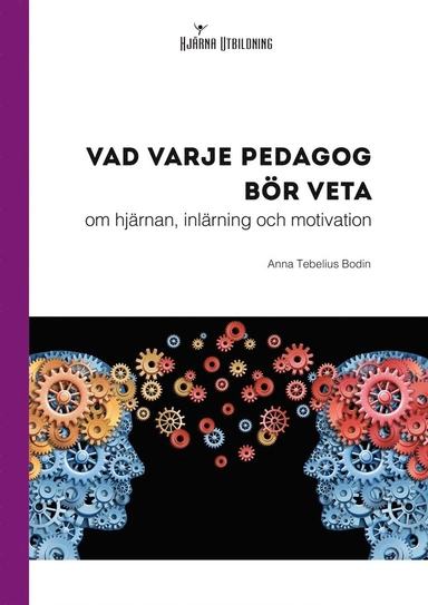 Vad varje pedagog bör veta : om hjärnan, inlärning och motivation