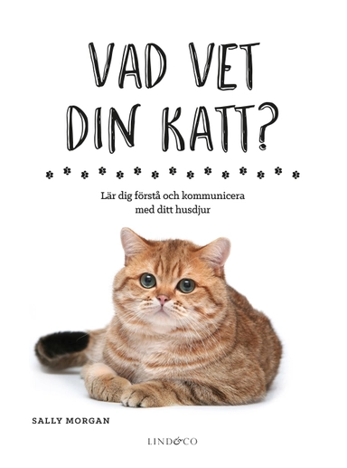 Vad vet din katt? : lär dig förstå och kommunicera med ditt husdjur; Sally Morgan; 2018