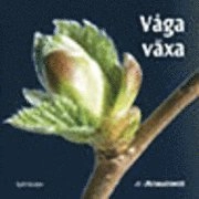 Våga växa