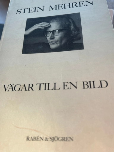 Vägar till en bild : dikter; Stein Mehren; 1981
