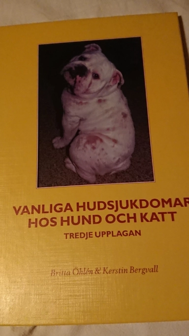 Vanliga hudsjukdomar hos hund och katt; Britta Öhlén; 1999