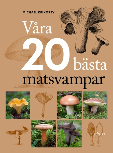 Våra 20 bästa matsvampar; Michael Krikorev; 2014