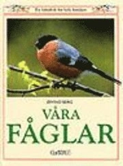 Våra Fåglar; Øivind Berg; 2000