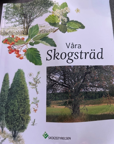 Våra skogsträd; Ragnar Hjorth; 2013